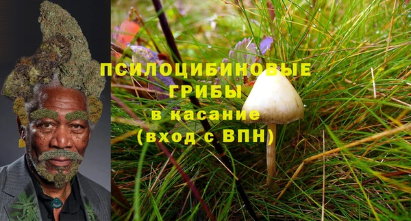 МДПВ Армянск
