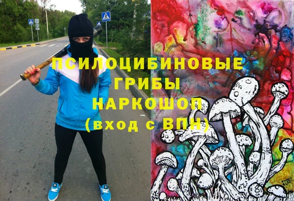 МДПВ Арсеньев