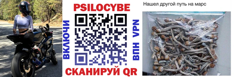 нарко площадка формула  blacksprut зеркало  Саров  Галлюциногенные грибы прущие грибы 